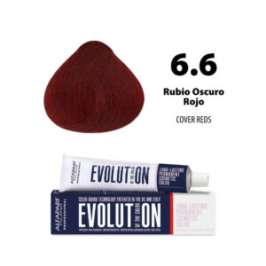 TINTE EVOLUTION 6.6 RUBIO OSCURO ROJO 60ML ALFAPARF