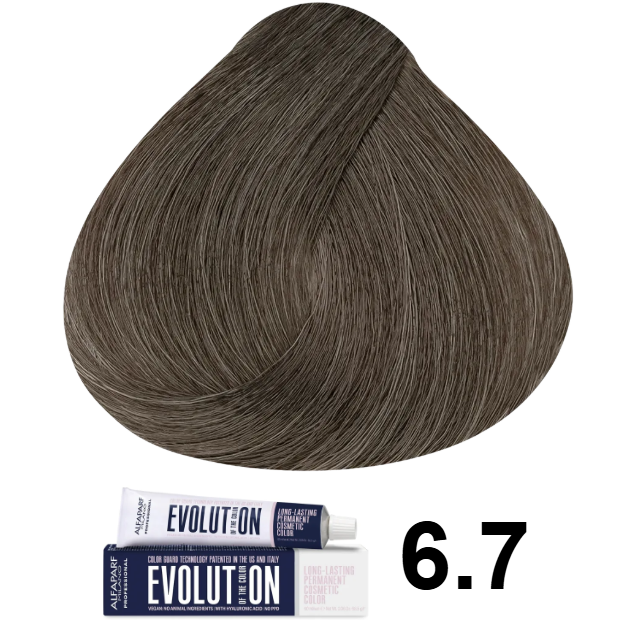 TINTE EVOLUTION 6.7 RUBIO OSCURO MATE 60ML ALFAPARF