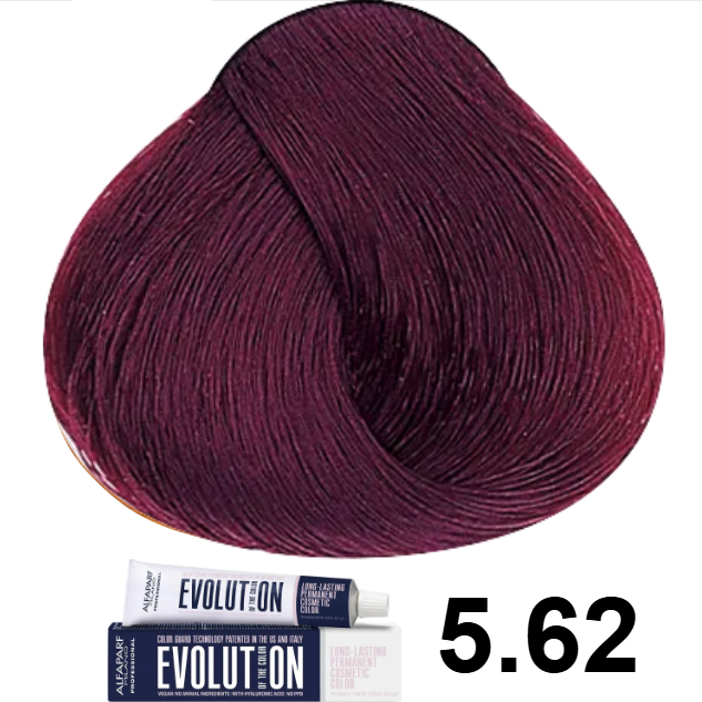 TINTE EVOLUTION 5.62 CASTAÑO CLARO ROJO IRISADO 60ML ALFAPARF