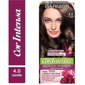 TINTE COR INTENSA 4 CASTAÑO GARNIER